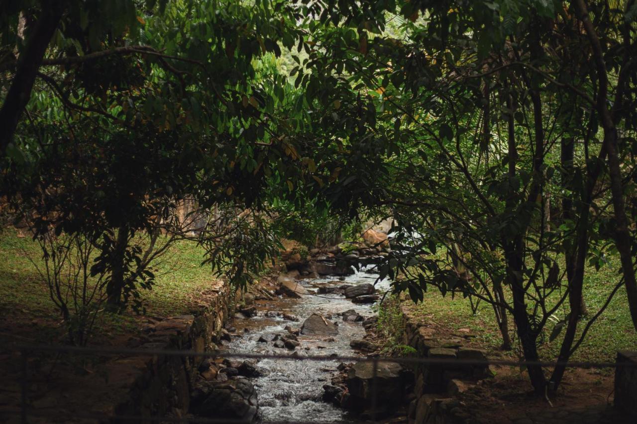 Sati Villa Kandy Sri Lanka 외부 사진